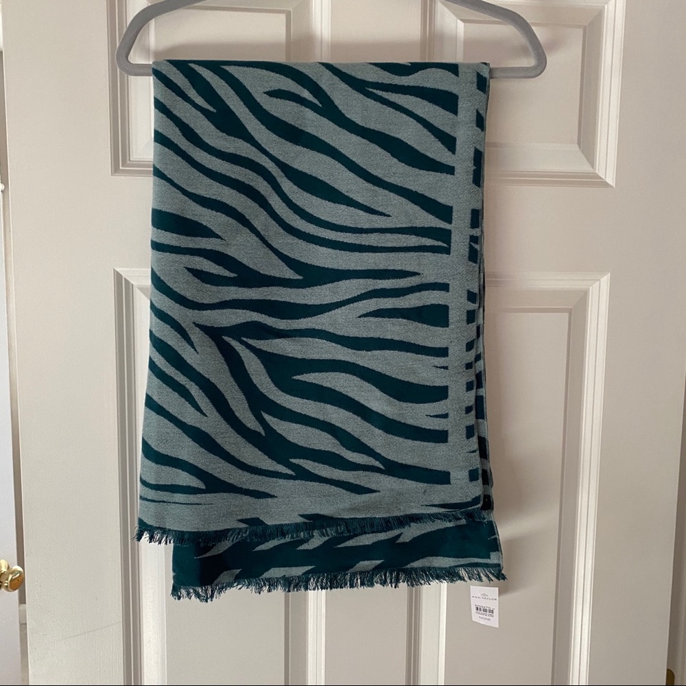 Ann Taylor Scarf